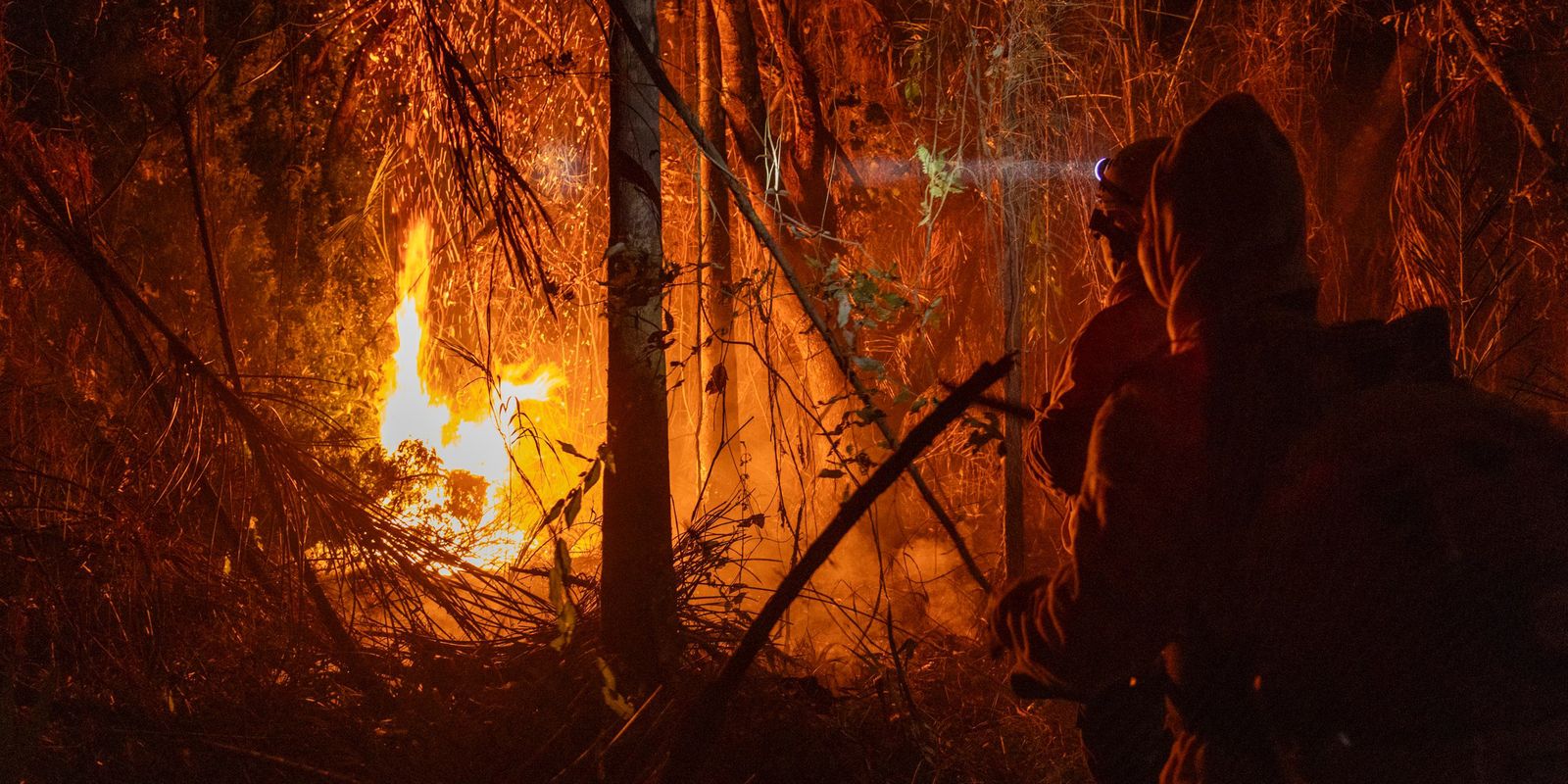 Brazil records a 79% increase in burned areas in 2024