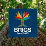 Brics have more than 40% of the world's population and 37% of GDP