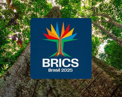 Brics have more than 40% of the world's population and 37% of GDP