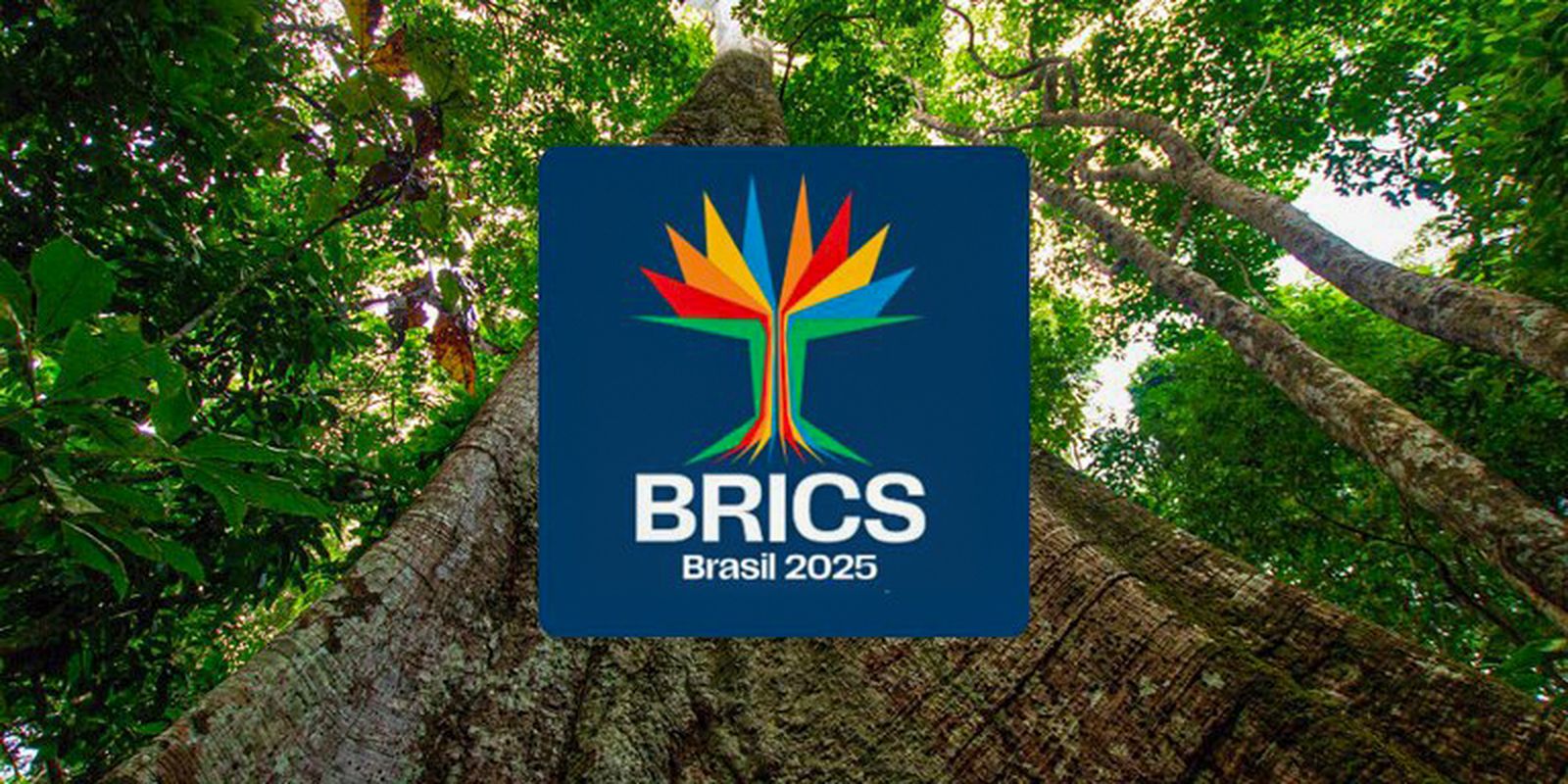 Brics have more than 40% of the world's population and 37% of GDP