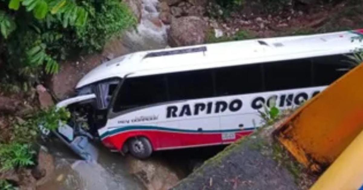 Bus fell into an abyss on the Medellín - Bogotá road: there are four dead and 20 injured