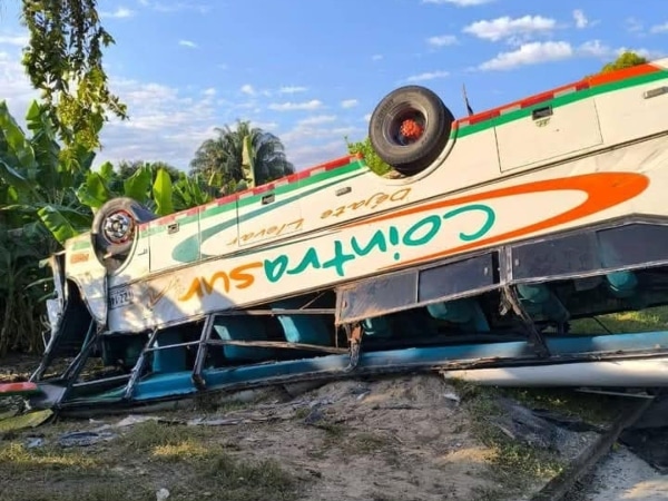 Bus with passengers collided with a highway buffalo and ended up overturned: at least 10 people were injured