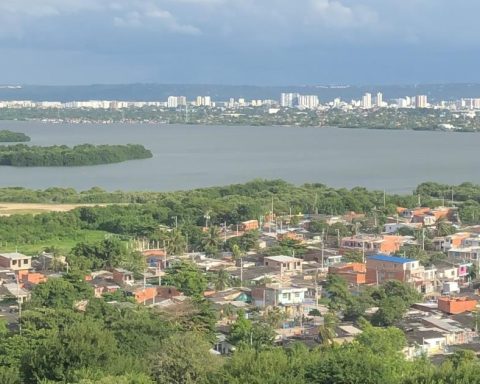 Cartagena's Comptroller's Office revealed alleged patrimonial detriment in contracts exceeding $264,000 million