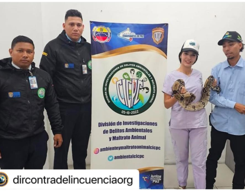 Cicpc rescued a tragavenado