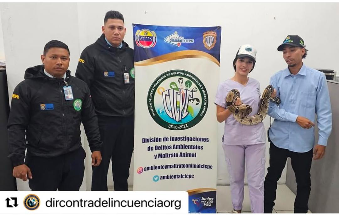 Cicpc rescued a tragavenado