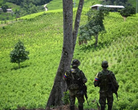 Colombia asks Venezuela to face violence in the Catatumbo: What will they do?