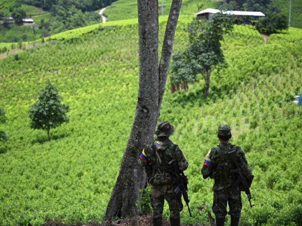 Colombia asks Venezuela to face violence in the Catatumbo: What will they do?