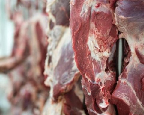 Colombian beef will be exported to Chile, confirmed Invima