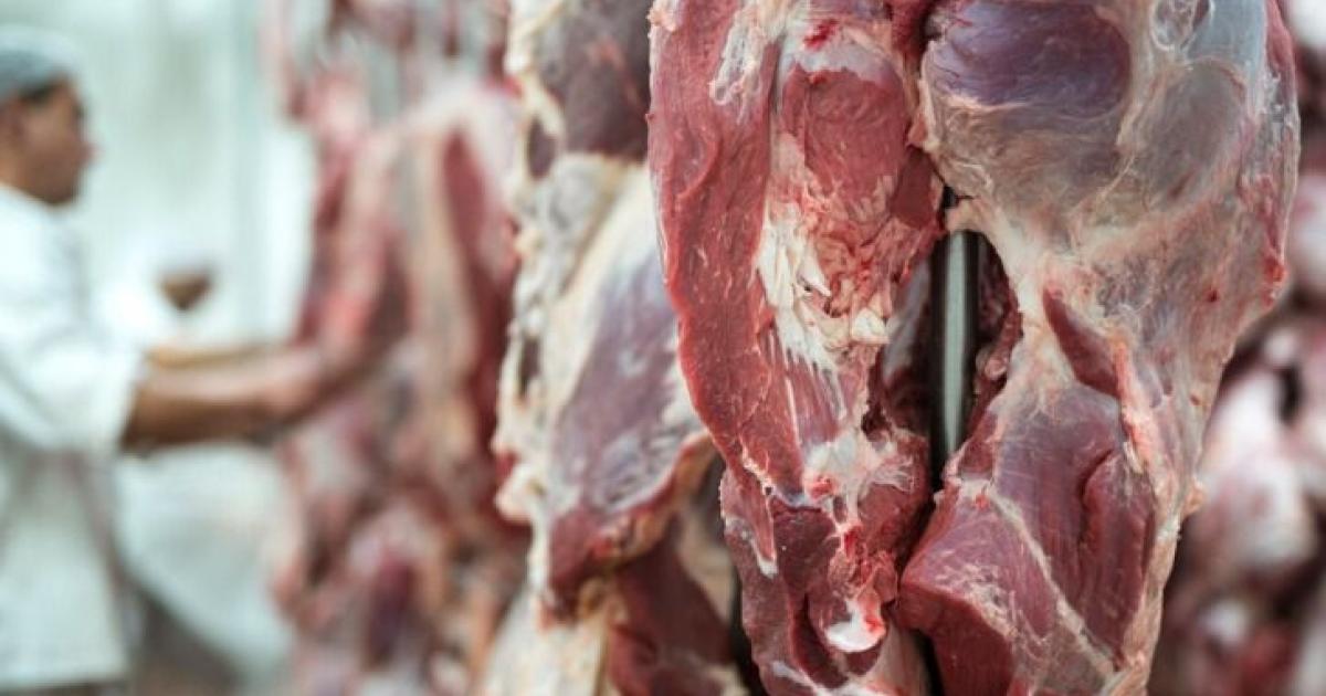 Colombian beef will be exported to Chile, confirmed Invima