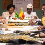 Committee will expand cultural cooperation between Brazil and Benin