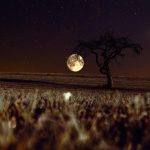 FULL MOON on JANUARY 13, 2025 in CANCER: what it means and what is its influence on the zodiac SIGNS