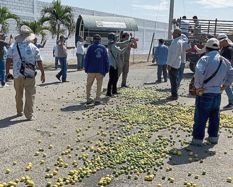 Farmers throw 20 tons of lemon for the low price in Piura