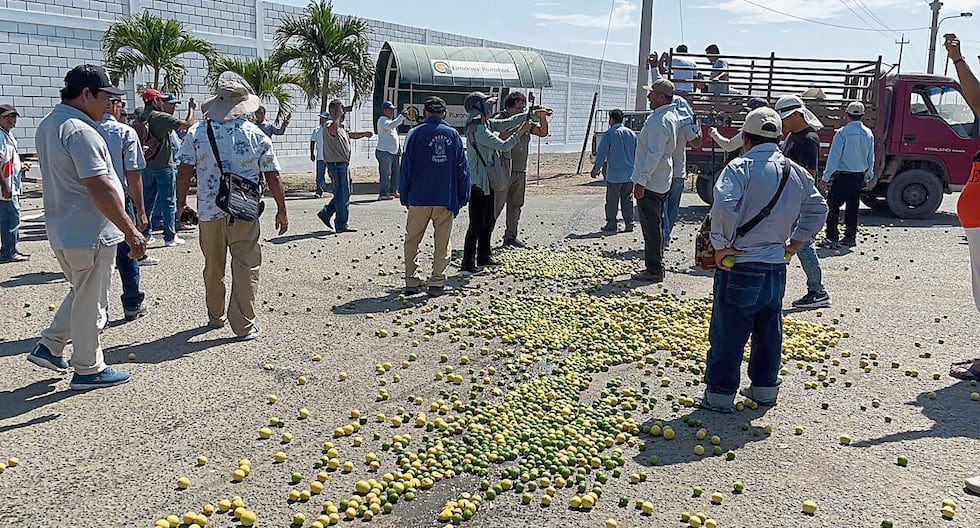 Farmers throw 20 tons of lemon for the low price in Piura