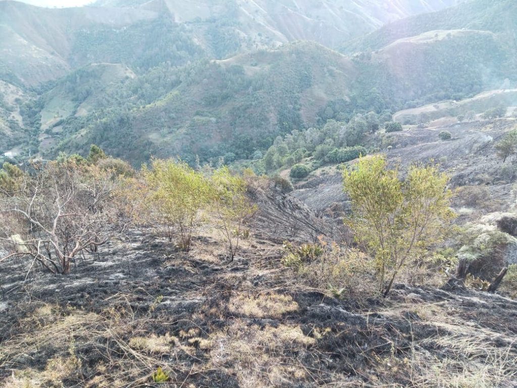 Bomberos extinguen incendio en el Parque Nacional Valle Nuevo