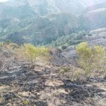 Bomberos extinguen incendio en el Parque Nacional Valle Nuevo