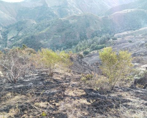 Bomberos extinguen incendio en el Parque Nacional Valle Nuevo