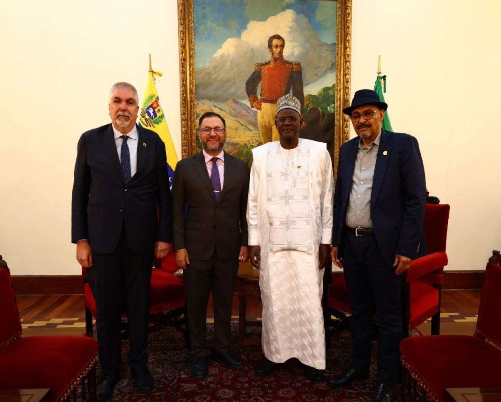 Foreign Minister Yván Gil held a meeting with the Malian delegation