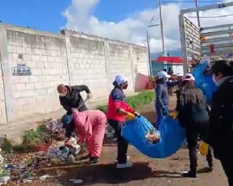 Garbage crisis: El Tambo workers and officials carry out public cleaning day