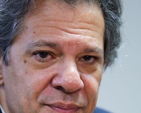 Haddad says Lula will veto tortoises that could raise electricity bills