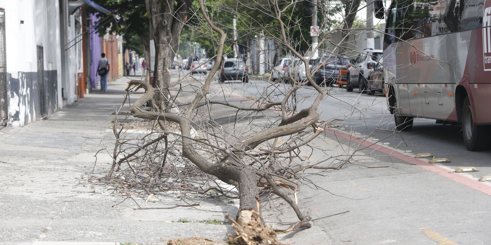 Heavy rain leaves more than 1 million without electricity this afternoon in São Paulo