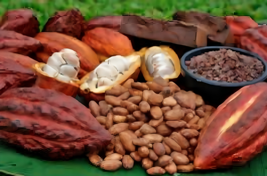 Cacao