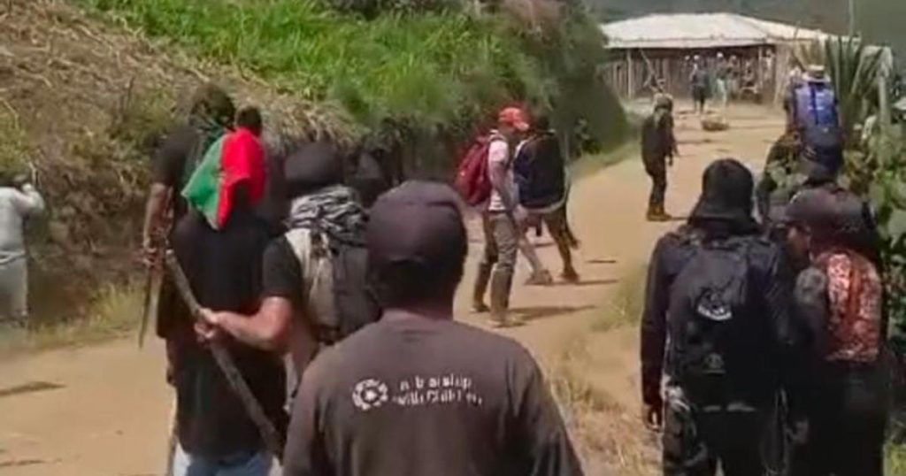 In confrontations with growers, coca eradication work ended in Cauca