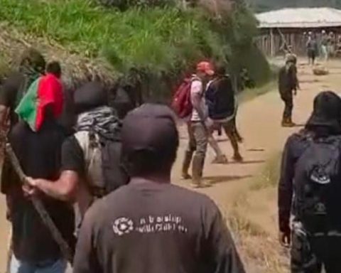 In confrontations with growers, coca eradication work ended in Cauca