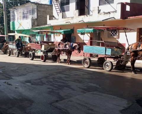 In the absence of buses and fuel, horse-drawn carriages guarantee transportation in Cienfuegos