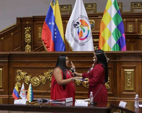 Indigenous Parliament of America Chapter Venezuela promotes dialogue for peace