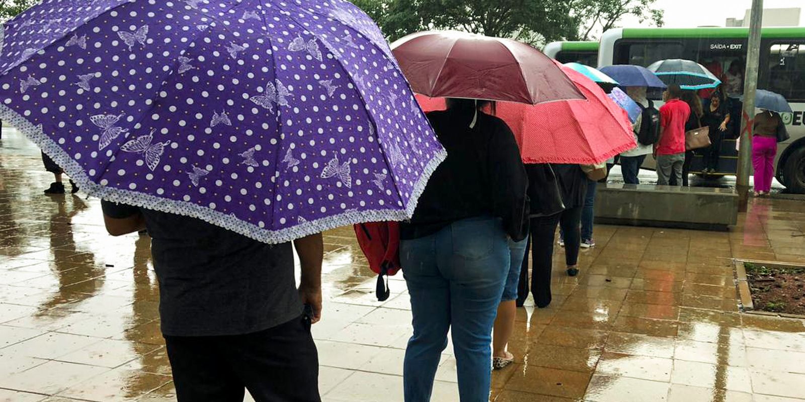 Intense rains put most of the country on alert