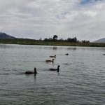 Jauja: After the bully, tourists will visit the Paca lagoon