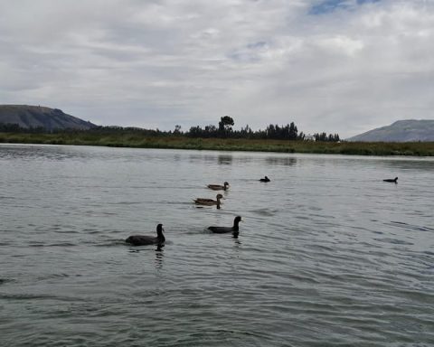 Jauja: After the bully, tourists will visit the Paca lagoon