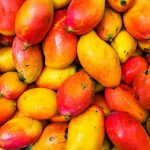 Know the keys to the mango crisis in Peru