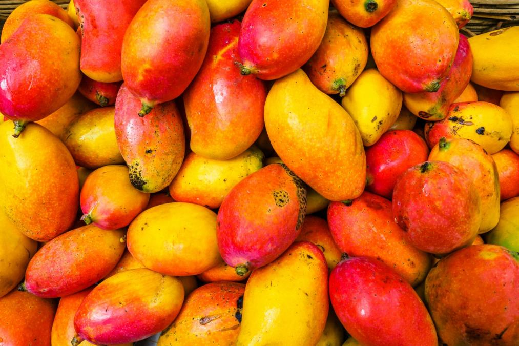 Know the keys to the mango crisis in Peru