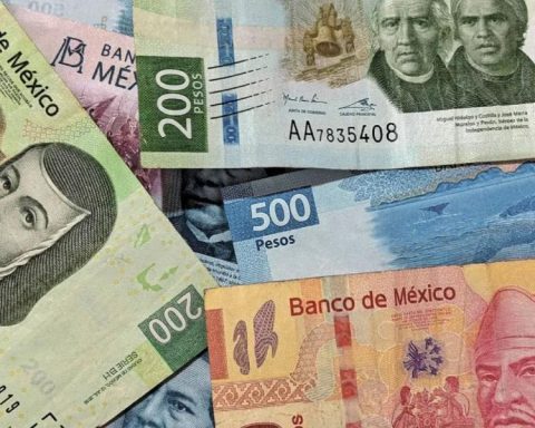 Mexican peso cuts fall after call for calm from Claudia Sheinbaum