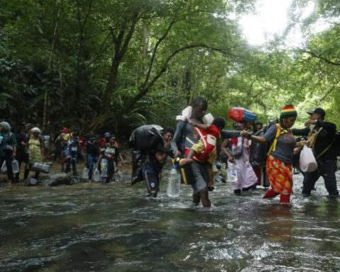 Migration for the Darién displaced 93% in the first 23 days of January, Panama reports