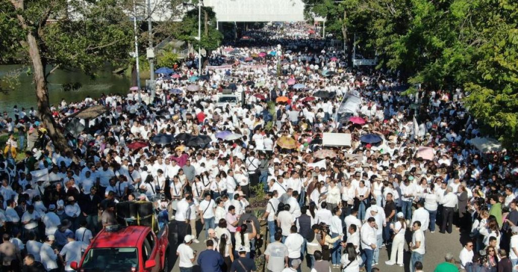 Morenistas march in Tabasco "For Peace" and in support of Governor Javier May