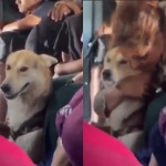 Moving images: woman hugs her dog in the middle of the evacuation in Catatumbo