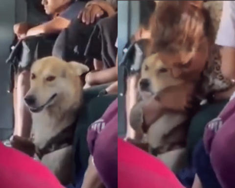 Moving images: woman hugs her dog in the middle of the evacuation in Catatumbo