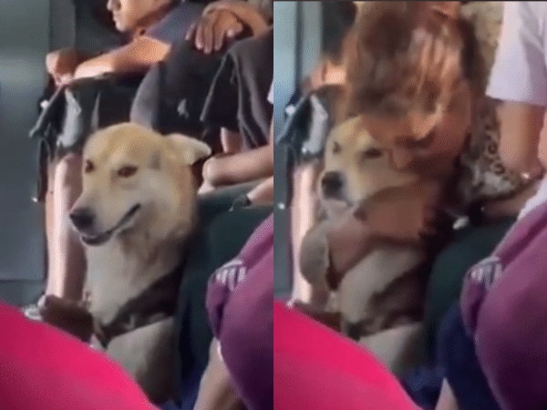 Moving images: woman hugs her dog in the middle of the evacuation in Catatumbo