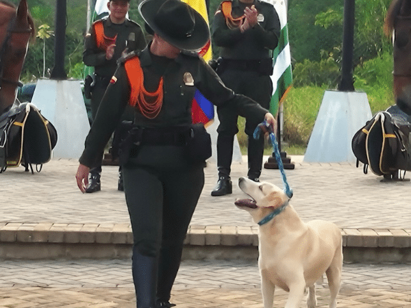 Nex, the anti -explosive hero dog that protected Caquetá retired after years of service