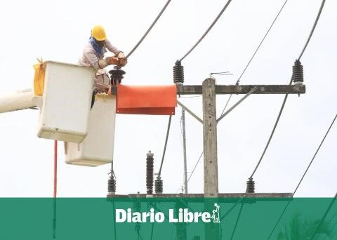 PLD presents concern about losses in the electricity sector