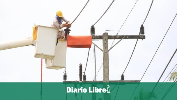 PLD presents concern about losses in the electricity sector