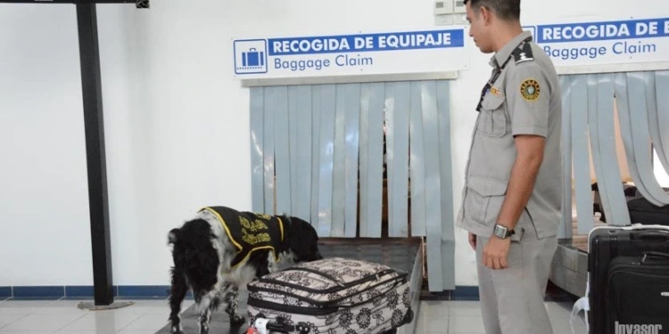 perro en aduana