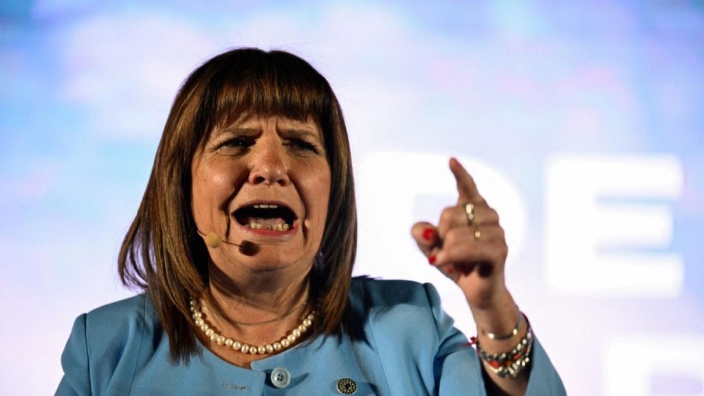 Patricia Bullrich confirmed the installation of a fence on the border with Bolivia