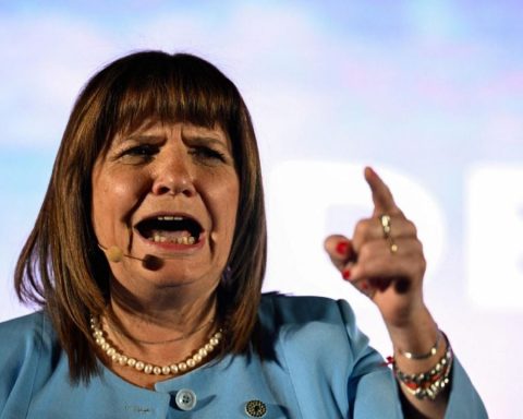 Patricia Bullrich confirmed the installation of a fence on the border with Bolivia