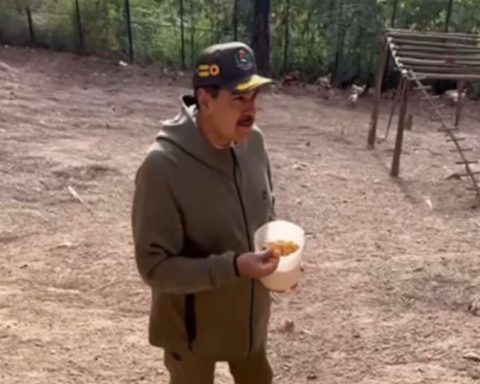 President Maduro encourages local production from his own chicken coop