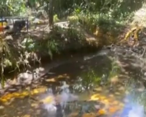 Prosecutor investigates palm oil spill in Ucayali