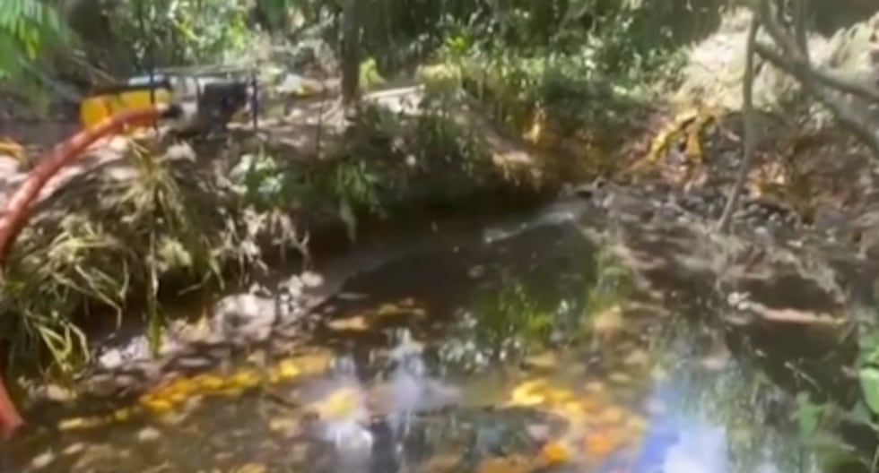 Prosecutor investigates palm oil spill in Ucayali