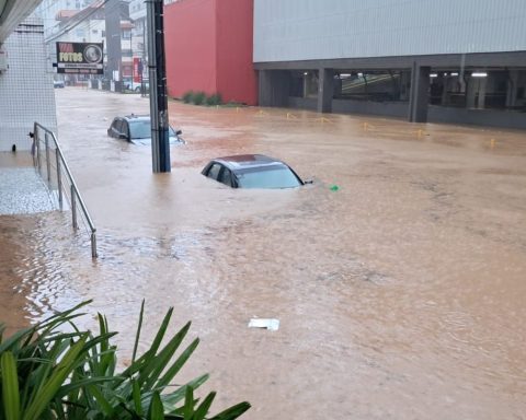 Rains lead four cities to declare emergency in Santa Catarina